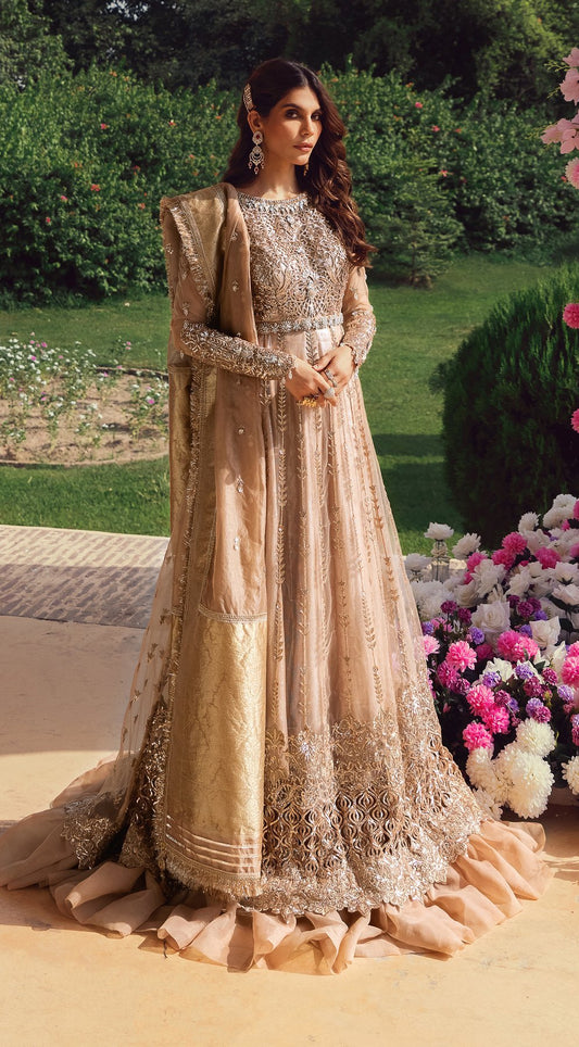 Picture of Anaya - AC 21 07 Radiance Opulence Hand Embellished And Embroidered Chiffon Collection - Available at Raja Sahib