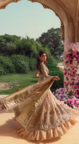 Anaya - AC 21 07 Radiance Opulence Hand Embellished And Embroidered Chiffon Collection