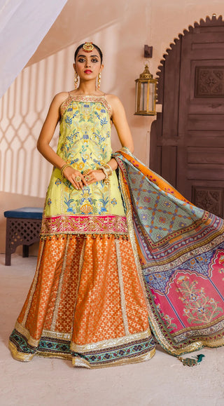 Anaya AM22 05 Shazmeen Dhanak Mehndi Wedding Collection 2022