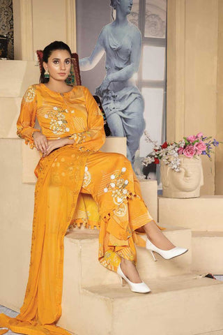 Riaz Arts - Design 02 Aafreen Embroidered Silk Viscose Collection