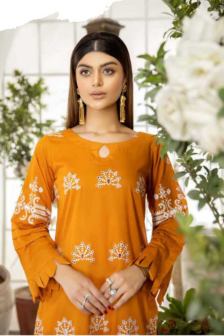 Picture of Riaz Arts - PK 02 Plush Embroidered Kurti Collection Vol 3 - Available at Raja Sahib