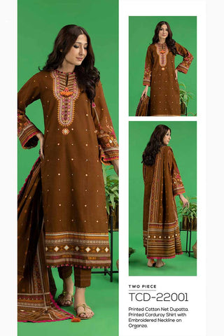 Gul Ahmed 2 PC Embroidered Corduroy Suit TCD22001 Winter Collection Vol 3 2022