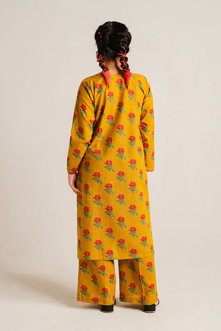 Picture of Humjoli - 2 Piece Khaddar Pret Collection - HJ-W-02 - Available at Raja Sahib