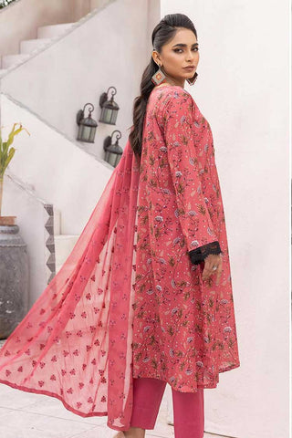 Design 111 Serena Digital Printed Lawn Collection