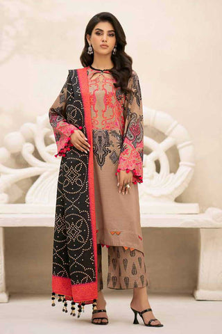 CPW3 25 C Prints Chunri Printed Linen Collection Vol 3