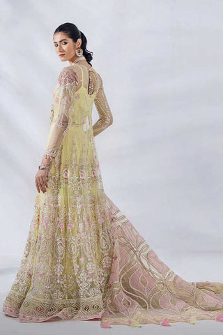 08 Diara Afreen Exclusive Embroidered Chiffon Collection