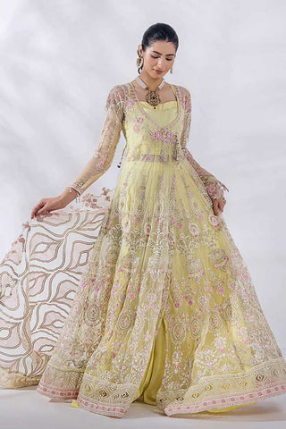 08 Diara Afreen Exclusive Embroidered Chiffon Collection