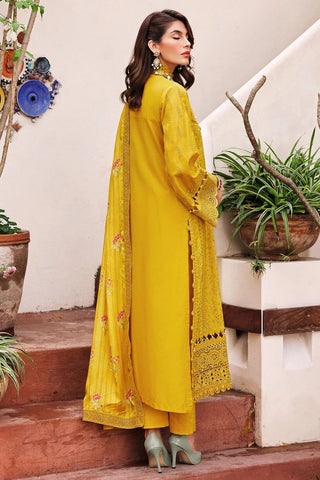 Motifz - 3980 Lara Schiffli Luxury Lawn Collection