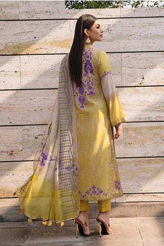 AN 20 Aniiq Embroidered Lawn Collection Vol 2