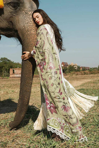 MSL 23 15 Yanin Lawana Luxury Lawn Collection