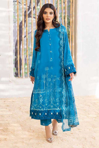 SED 301 Embroidered Dupatta Collection