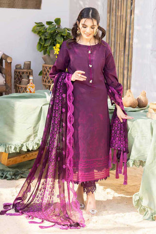 SED 304 Embroidered Dupatta Collection