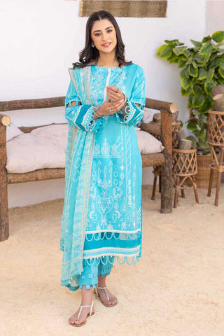 SED 307 Embroidered Dupatta Collection