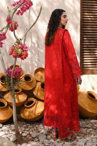 Raani (AE 03) Meena Kumari Eid Collection