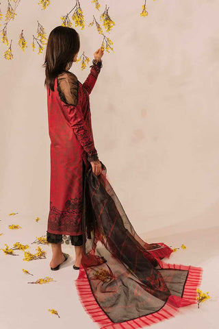 Asifa & Nabeel - MKL 11 Meraki Summer Collection Vol 1