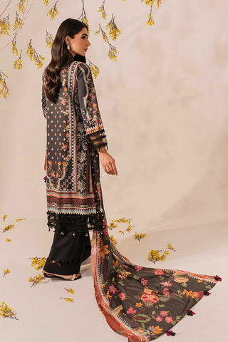 Asifa & Nabeel - MKL 12 Meraki Summer Collection Vol 1