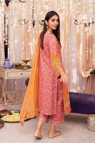 ED 23 05 Luxury Embroidered Eid Collection