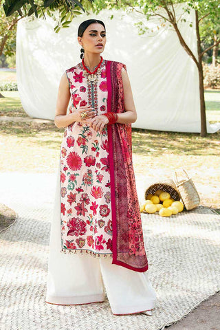 12 Gaelic Mausam Basic Lawn Collection