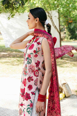 12 Gaelic Mausam Basic Lawn Collection