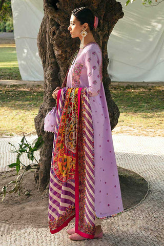 06 Kasni Mausam Basic Lawn Collection