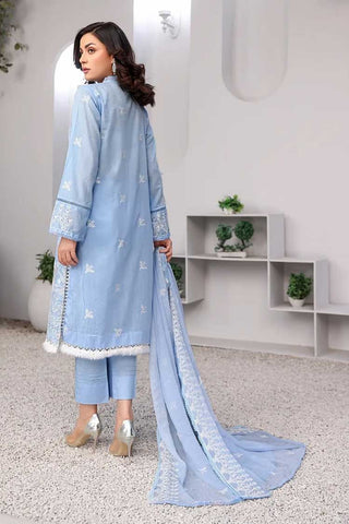 LD 13 Shoreline Kaya Chikankari Collection