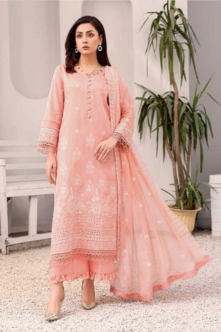 LD 15 Nirvana Kaya Chikankari Collection