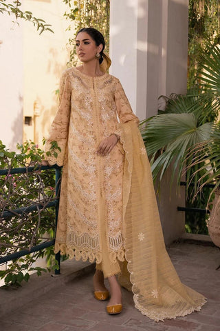 Raiya (AC 01) Shezlin Chikankari Collection