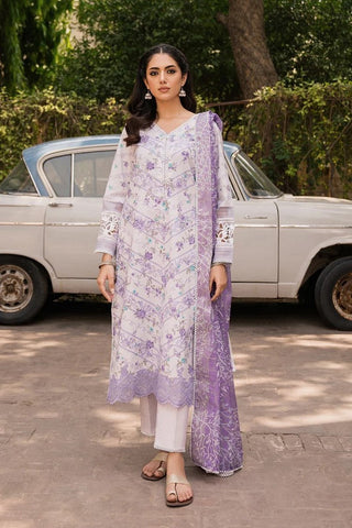 Setareh (AC 02) Shezlin Chikankari Collection