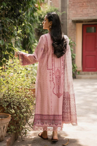 Neeshay (AC 03) Shezlin Chikankari Collection