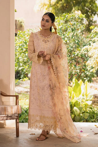 Alara (AC 05) Shezlin Chikankari Collection