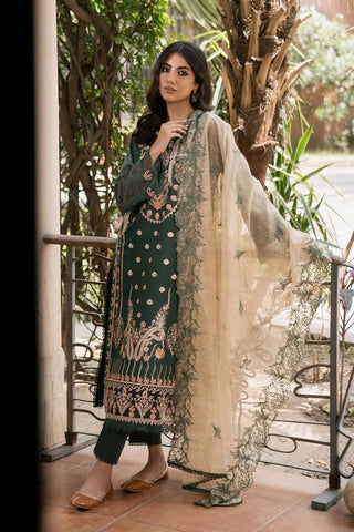 Amani (AC 06) Shezlin Chikankari Collection