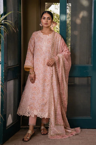 Elanah (AC 07) Shezlin Chikankari Collection