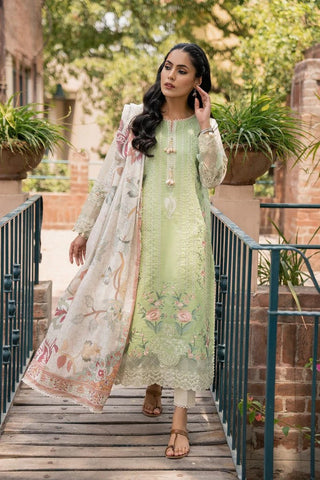 Nehal (AC 08) Shezlin Chikankari Collection