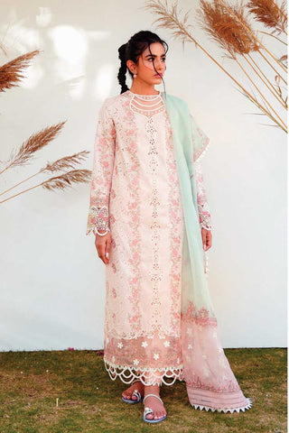 RT 11 Lyra Qlinekari Lawn Collection