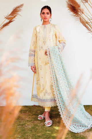 RT 12 Ryan Qlinekari Lawn Collection