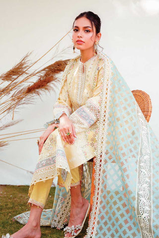 RT 12 Ryan Qlinekari Lawn Collection