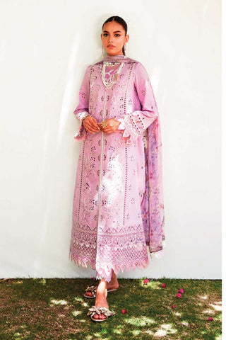 RT 03 Amaya Qlinekari Lawn Collection