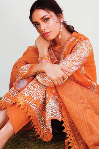 RT 04 Alaina Qlinekari Lawn Collection