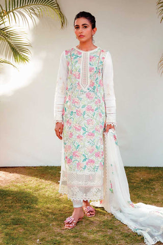 RT 06 Amari Qlinekari Lawn Collection