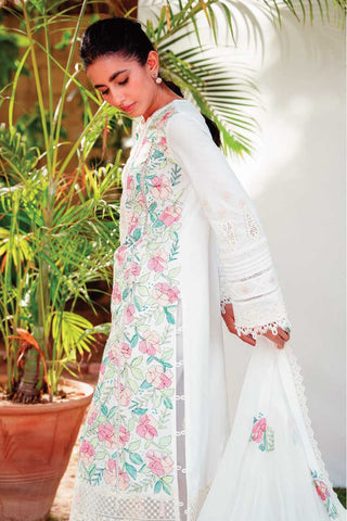 RT 06 Amari Qlinekari Lawn Collection