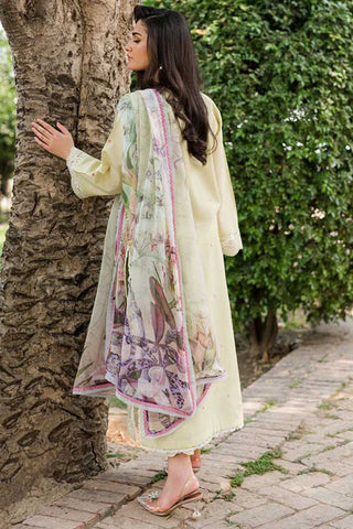 RUN SS 23 5B Afsheen Wisteria Embroidered Lawn Collection