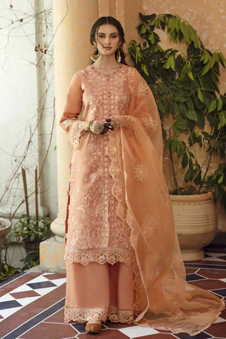 Jahan Ara (AB 01) Meena Kumari Chikankari Eid Collection Vol 2