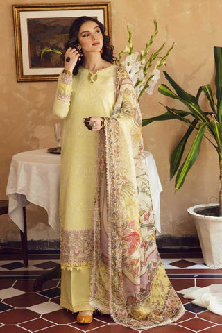 Zeenat (AB 07) Meena Kumari Chikankari Eid Collection Vol 2