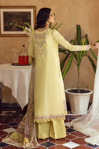 Aabyaan - Zeenat (AB 07) Meena Kumari Chikankari Eid Collection Vol 2