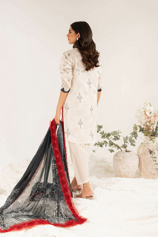 Asifa & Nabeel - Luna (LL 10) Leia Embroidered Lawn Collection