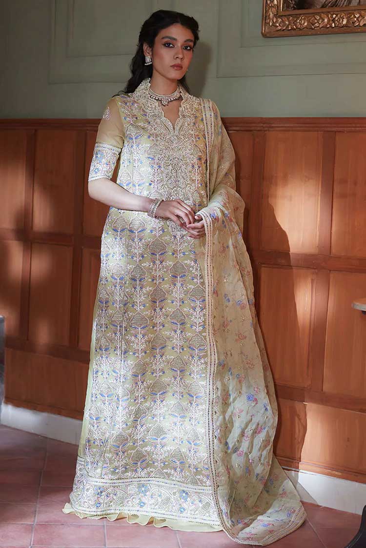 Picture of Mushq - MUNCK 23 0108 Dina Qala Kamdaani Collection - Available at Raja Sahib