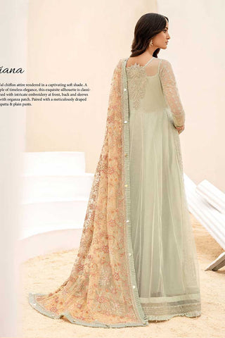 CC 05 Eviana Chinon Chiffon Collection