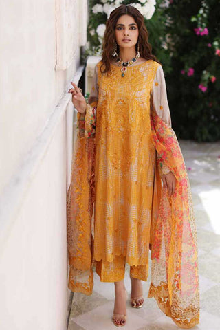 CRW 08 Rangoli Embroidered Staple Jacquard Collection Vol 1