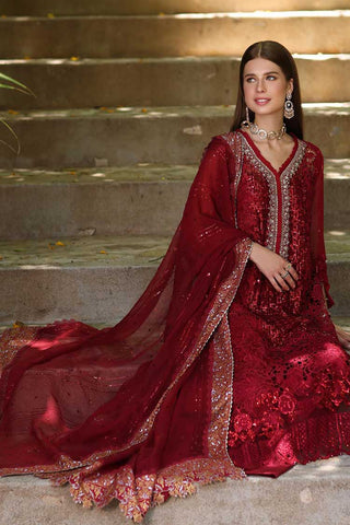 D3 Sirena Noor Chiffon Handwork Schiffli And Laserkari Collection