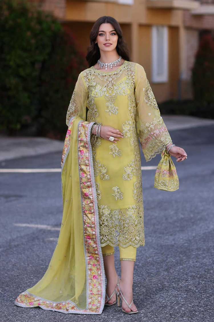 Picture of Noor by Saadia Asad - D4 Minali Noor Chiffon Handwork Schiffli And Laserkari Collection - Available at Raja Sahib